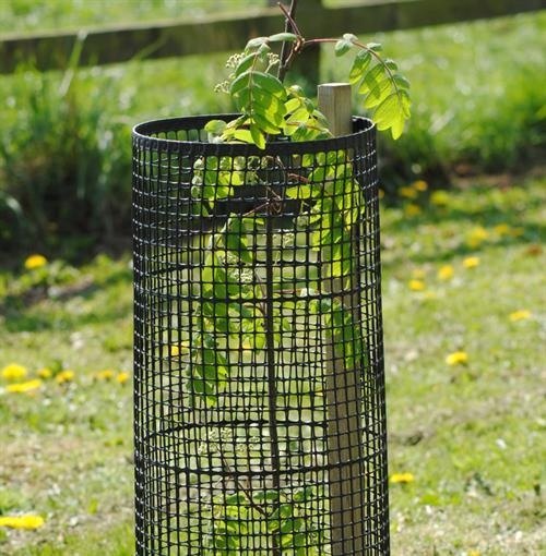 TREE GUARD